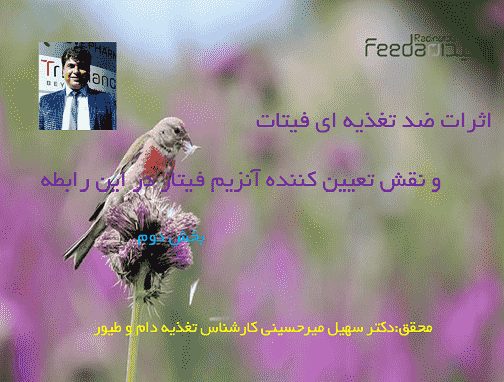 آموزش آنزیم فیتاز ,تغذیه دام و طیور,خوراک دام و طیور