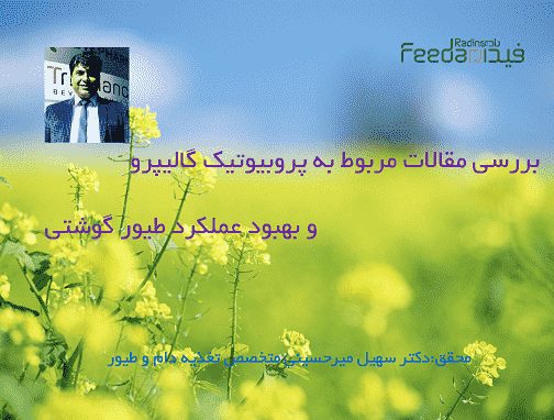پروبیوتیک گالیپرو,تغذیه دام و طیور,مکمل خوراک طیور,خوراک دام و طیور