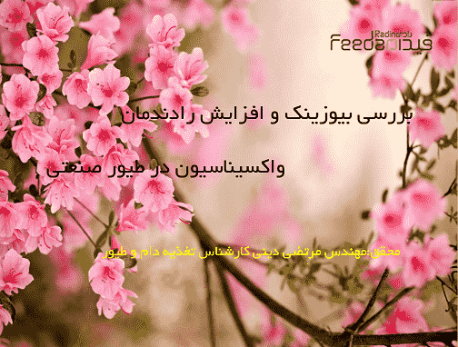 بیوزینک ,واکسیناسیون ,بتائین ,استرس طیور گوشتی ,استرس پک