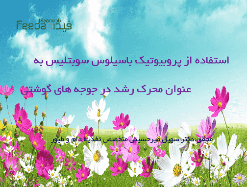 پروبیوتیک باسیلوس سوبتلیس