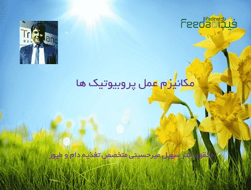 مکانیسم پروبیوتیک ها ,خرید پروبیوتیک ,قیمت پروبیوتیک,,,