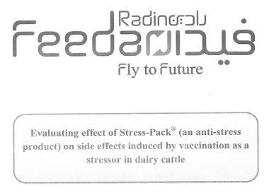 Stress Pack