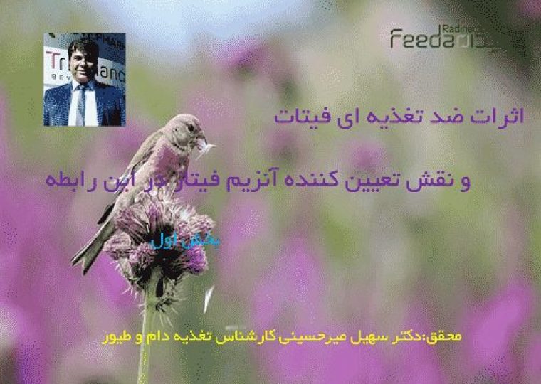 فیتاز,اسید فایتیک,آنزیم فیتاز,فیزایم تی پی تی