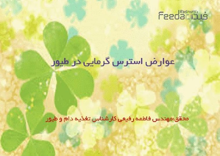 استرس گرمایی ,طیور ,خوراک دام و طیور ,