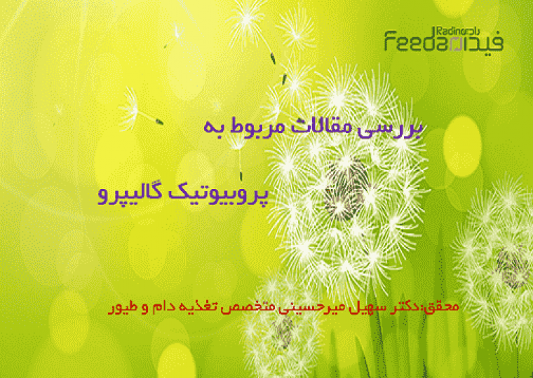مقالات پروبیوتیک گالیپرو ,پروبیوتیک طیور
