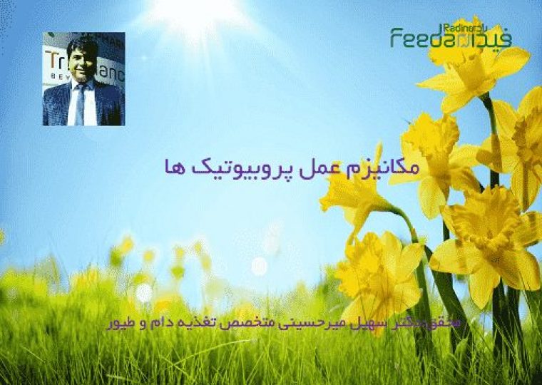 مکانیسم پروبیوتیک ها ,خرید پروبیوتیک ,قیمت پروبیوتیک,,,