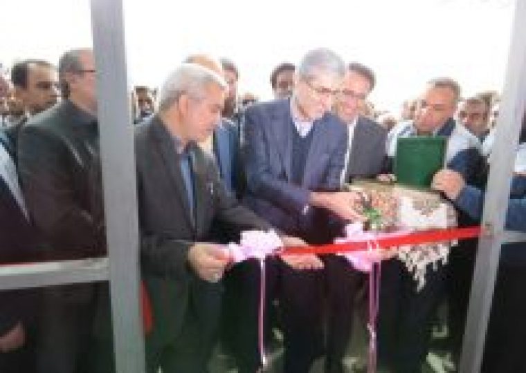 خوراک دام و طیور,خرید خوراک دام و طیور,قیمت نهاده ها
