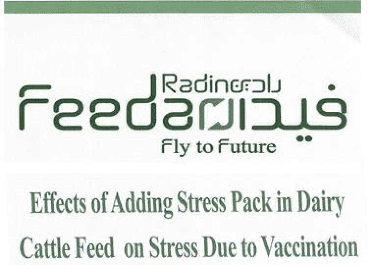Effect of Adding Stress Pack in Dairy Cattle